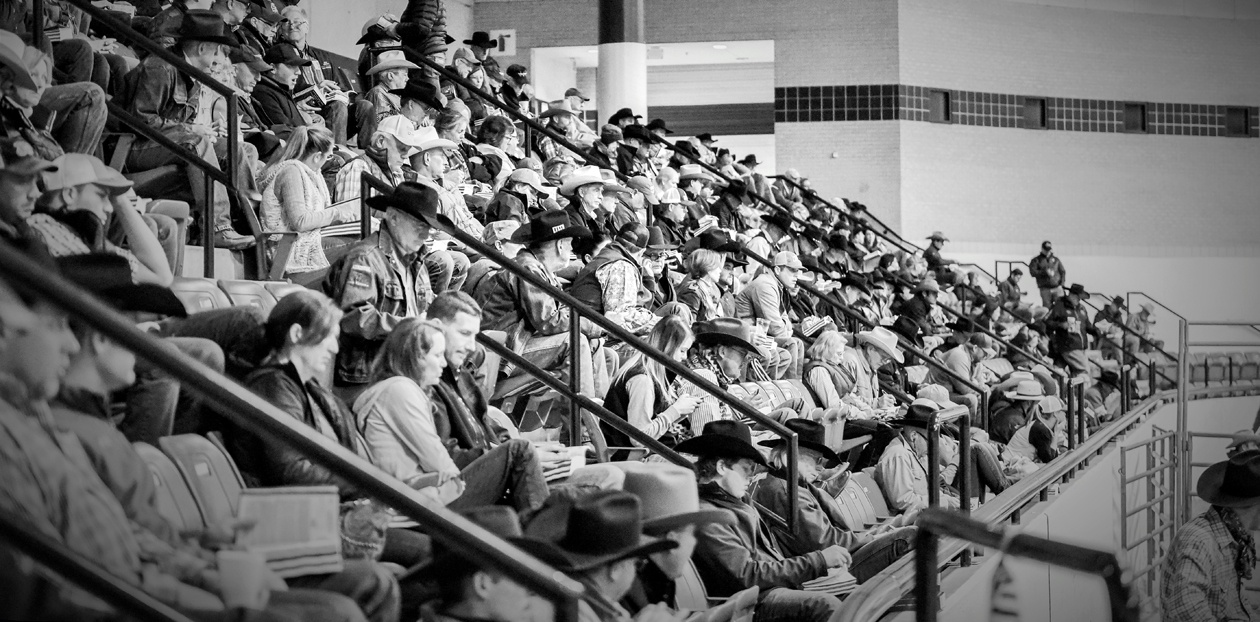 Buyers 2024 NCHA Futurity Sales Western Bloodstock, Ltd.