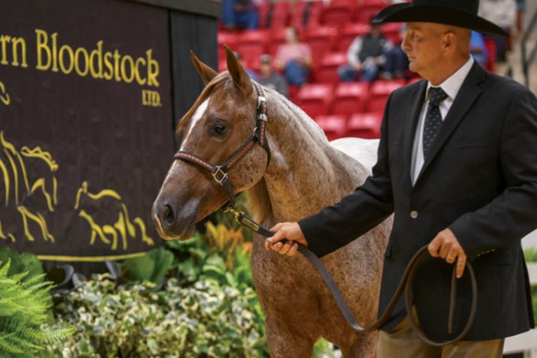 News 2022 NRCHA Snaffle Bit Futurity Sales Averages Top the Charts on First Day Western