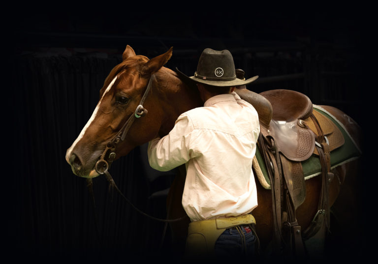 2024 NCHA Futurity Sales Western Bloodstock, Ltd.