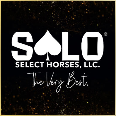 Solo Select Horses, LLC